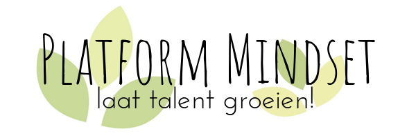 Platform Mindset