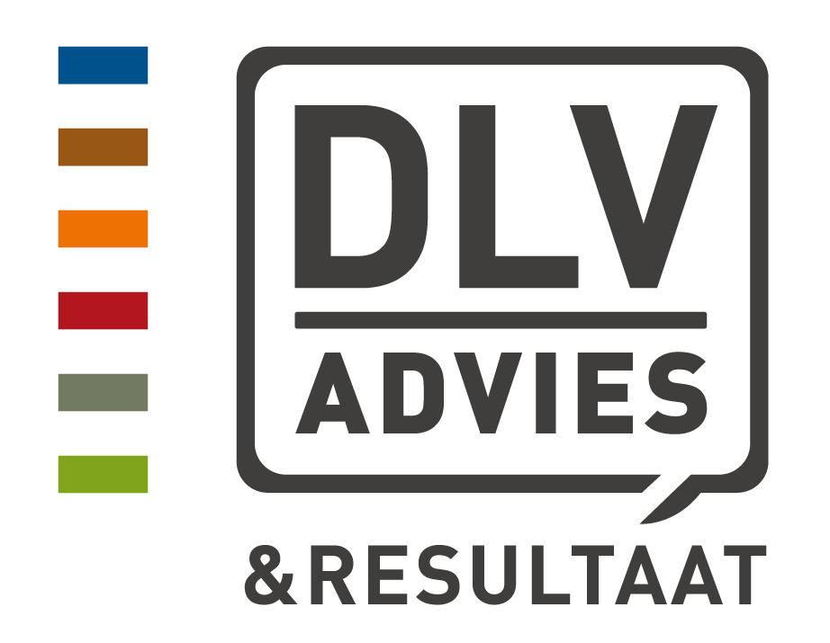 DLV BMT BV