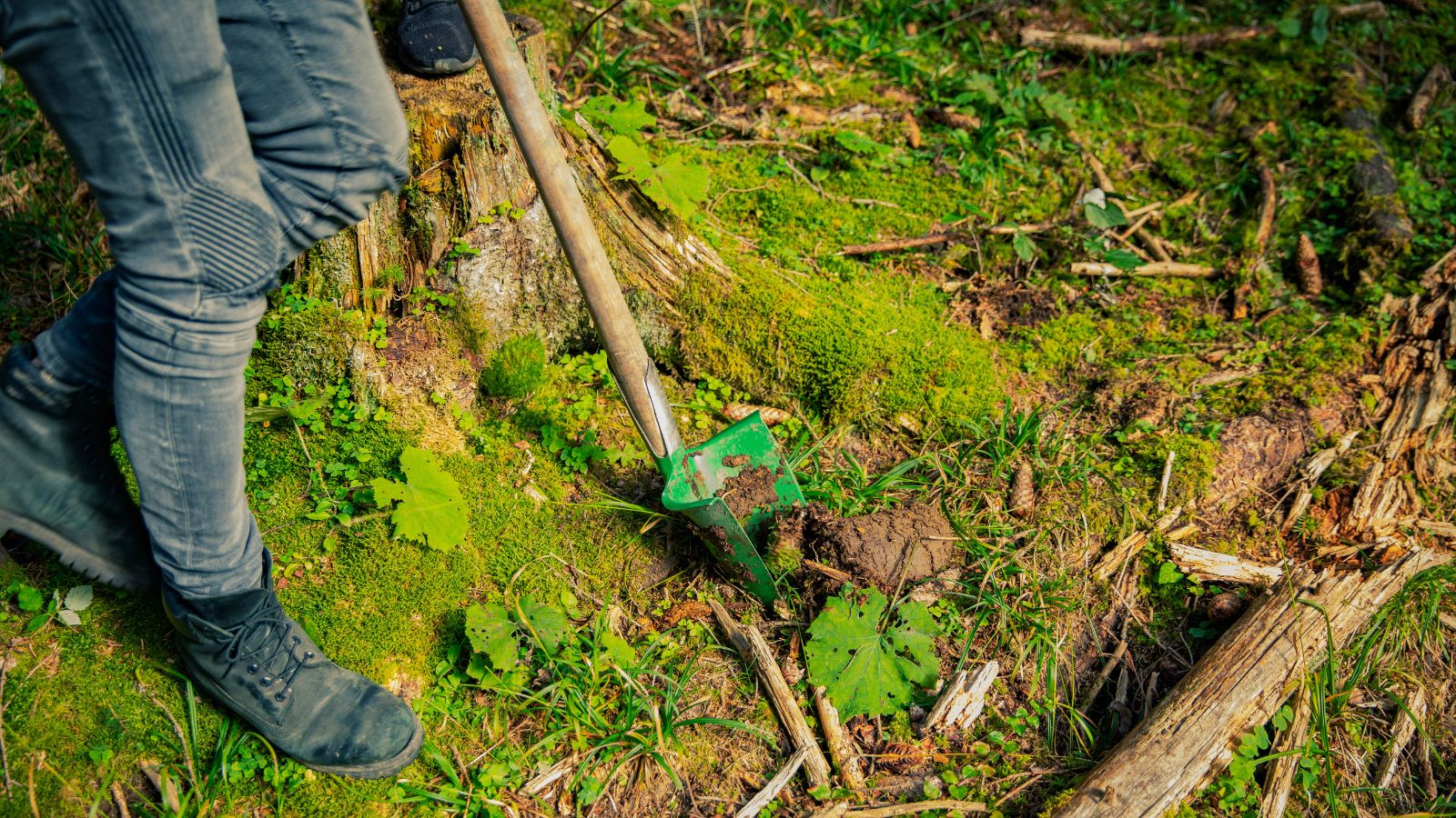 Regional Nature And Climate Action Projects Local Action Global Impact